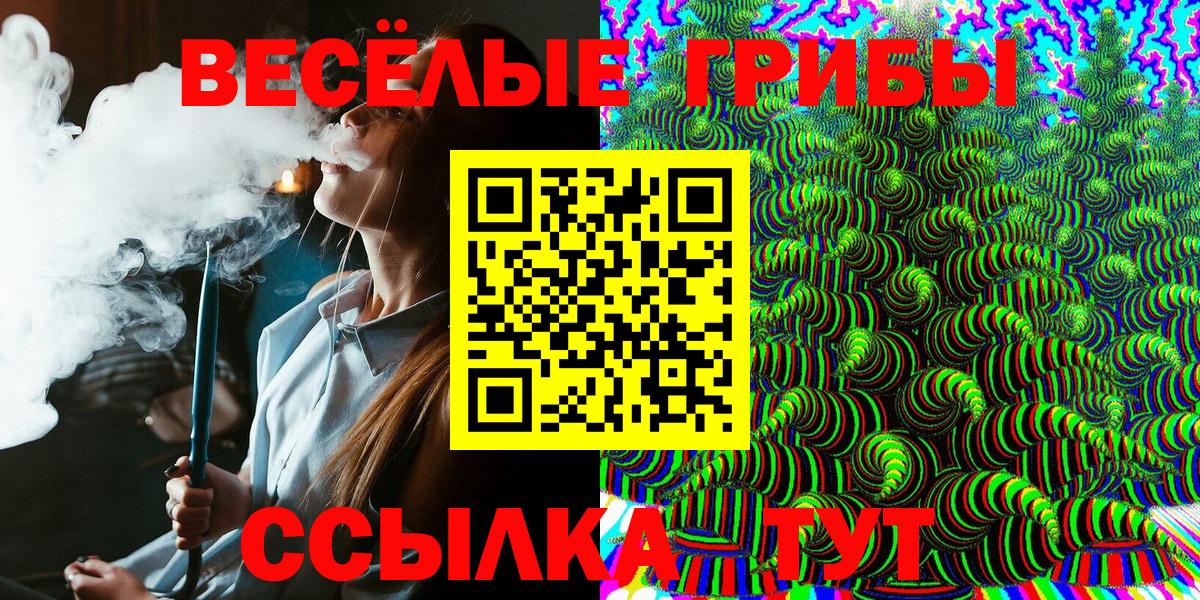 Псилоцибиновые грибы мицелий Ржев