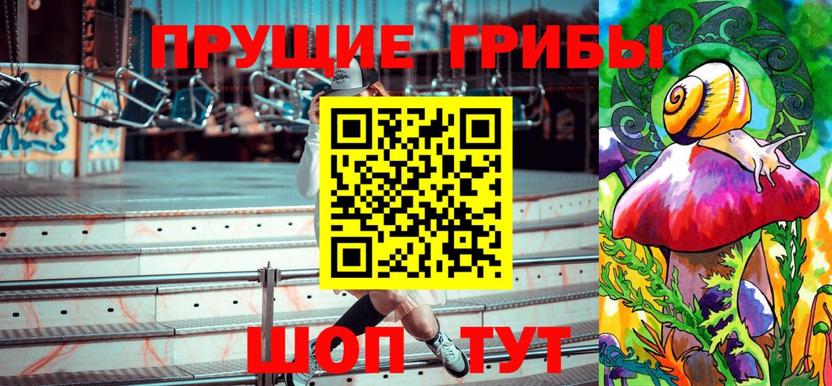 Псилоцибиновые грибы Cubensis  Вход с VPN  Ржев 